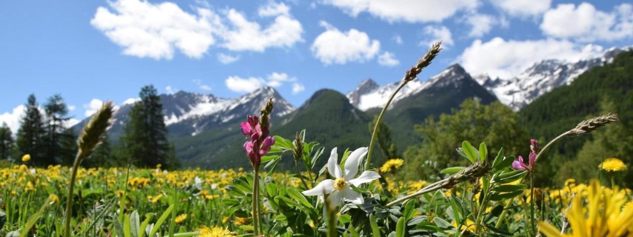 Nice Appt In Briancon Les Charmettes מראה חיצוני תמונה